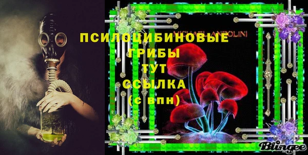 молекула духа Алексеевка