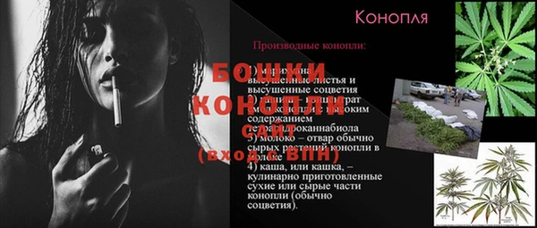 молекула духа Алексеевка